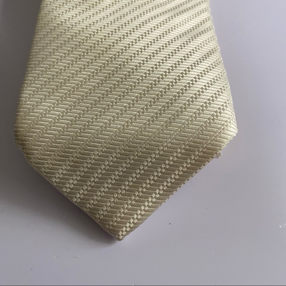 Pavone Exclusively for Clotherie Phoenix Tie, 100% Silk